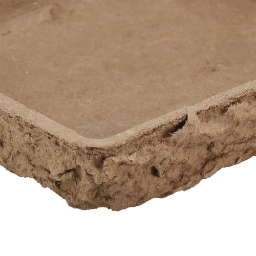 Article Oasis Biolit Support 2 briques mousse florale 48×13×2cm 7pcs