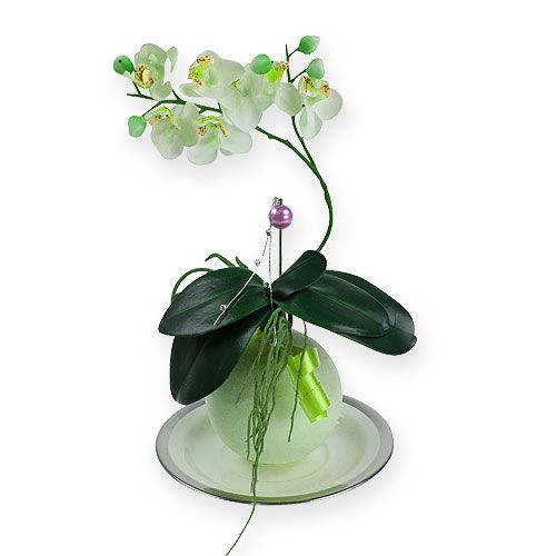 Floristik24 Boules de mousse florale couleur verte 9 cm (lot de 4)