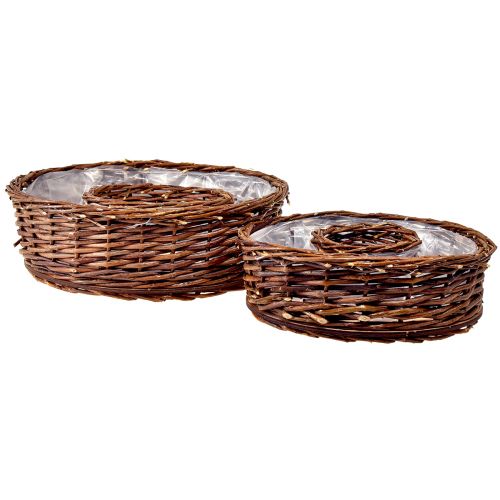 Floristik24 Anneaux de plantes en saule naturel en deux tailles – 32 cm et 25 cm – Idéal pour la table – Lot de 2