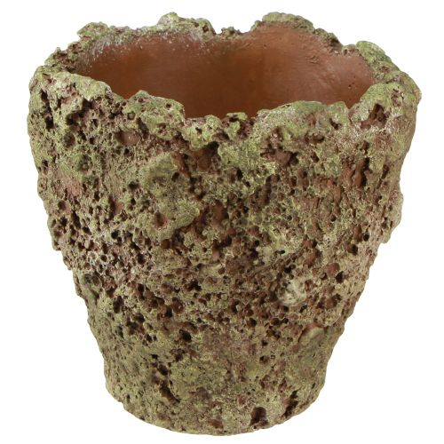 Article Cache-pot rustique aspect mousse Ø17cm H16,5cm 4pcs