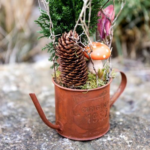 Floristik24 Arrosoir décoratif rouille mini cache-pot métal Ø10cm H9cm