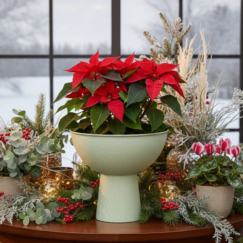 Article Coupe décorative sur pied pour plantes 25 cm effet granit vert gris