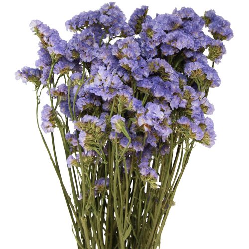 Floristik24 Lilas de mer violet Statice Limonium sinuatum fleurs séchées 60cm 50g