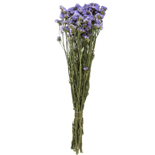 Floristik24 Lilas de mer violet Statice Limonium sinuatum fleurs séchées 60cm 50g