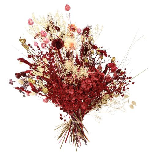 Article Bouquet de fleurs séchées décoration chardon en rouge vin 40cm 80g