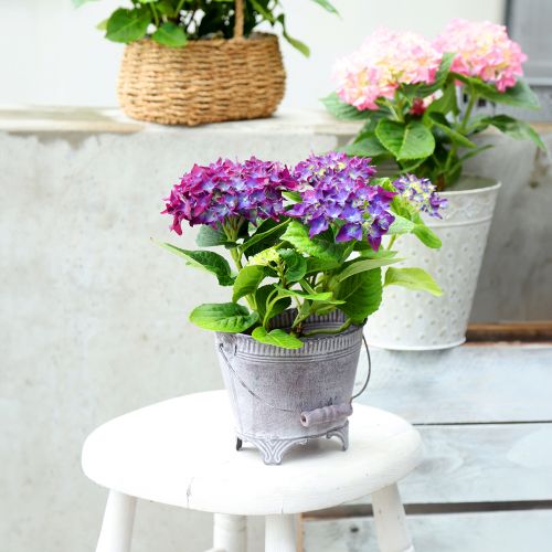 Jardinière Métal Ovale Violet Blanc Bol avec Pied H14cm