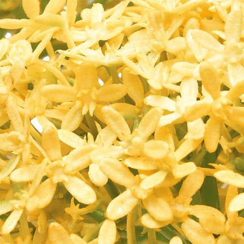 Article Ail Ornemental Allium Sauvage Artificiel Jaune 70cm 3pcs