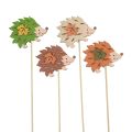 Floristik24 Bouchon à fleurs en bois décoration hérisson marron vert 8×6cm 12pcs