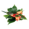 Floristik24 Calla Lily Abricot Calla Fleurs Artificielles Orange Exotique 44cm