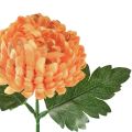 Floristik24 Chrysanthème orange Ø7cm L18cm 1 pc