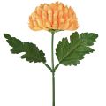 Floristik24 Chrysanthème orange Ø7cm L18cm 1 pc