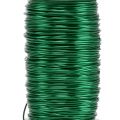 Floristik24 Fil émaillé Déco Vert Ø0.50mm 50m 100g