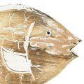 Floristik24 Support en bois poisson décoratif sur racine décoration maritime 27cm