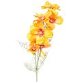 Floristik24 Cosmea Kosmee panier à bijoux fleur artificielle orange 75cm