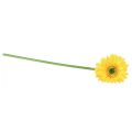 Floristik24 Fleurs artificielles Gerbera soleil jaune fleur de jardin 47cm