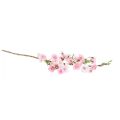 Floristik24 Branche de fleur de pêcher branche rose artificielle printemps 69cm