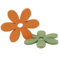 Floristik24 Décoration à disperser fleurs en bois décoration de table colorée Ø3-4cm 48pcs