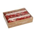 Floristik24 Bougies piliers rouges Bougies de l&#39;Avent petites vieilles rouges 60/40mm 24pcs