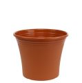 Floristik24 Pot « Irys » plastique terre cuite Ø19cm H16cm, 1pce