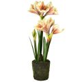 Floristik24 Amaryllis en boule de mousse artificielle à fleurs à motifs rose-jaune - 45 cm - Décoration exotique et stylée