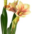 Floristik24 Amaryllis en boule de mousse artificielle à fleurs à motifs rose-jaune - 45 cm - Décoration exotique et stylée