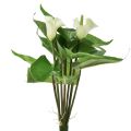 Floristik24 Calla Lily Kalla Fleurs Artificielles Fleurs Exotiques Blanches 34cm