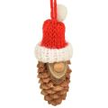 Floristik24 Décoration d&#39;arbre de Noël gnome cône gnome rouge 9cm 12pcs