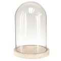 Floristik24 Cloche en verre ovale socle bois linteau en verre clair naturel Ø17cm H24cm
