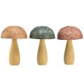 Floristik24 Champignons en bois champignons décoratifs décoration d&#39;automne bois assortis 11×7,5cm 3pcs