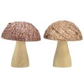 Floristik24 Champignons en bois champignons décoratifs décoration de table automne brun naturel 5×6cm 8pcs