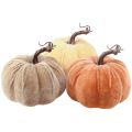 Floristik24 Décoration citrouille automne jaune marron orange Ø13cm H11,5cm 3pcs