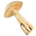 Floristik24 Sculpture de champignon réaliste en bois d&#39;orme - Design rustique, 37 cm - Décoration de jardin et d&#39;intérieur élégante