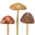 Floristik24 Champignons décoratifs sur bâton, marron, 5,5 cm, 6 pièces - décoration automnale de jardin et de salon