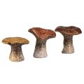 Floristik24 Figurines décoratives en forme de champignon inspirées de la nature en lot de 3 - différentes nuances de marron, 6,4 cm - des accents charmants pour le jardin et la maison