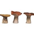 Floristik24 Figurines décoratives en forme de champignon inspirées de la nature en lot de 3 - différentes nuances de marron, 6,4 cm - des accents charmants pour le jardin et la maison